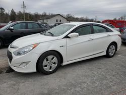 Salvage cars for sale from Copart York Haven, PA: 2012 Hyundai Sonata Hybrid