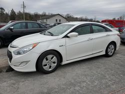 Hyundai Sonata Hybrid salvage cars for sale: 2012 Hyundai Sonata Hybrid