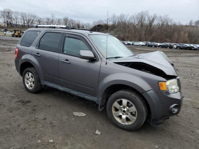 2011 Ford Escape Limited