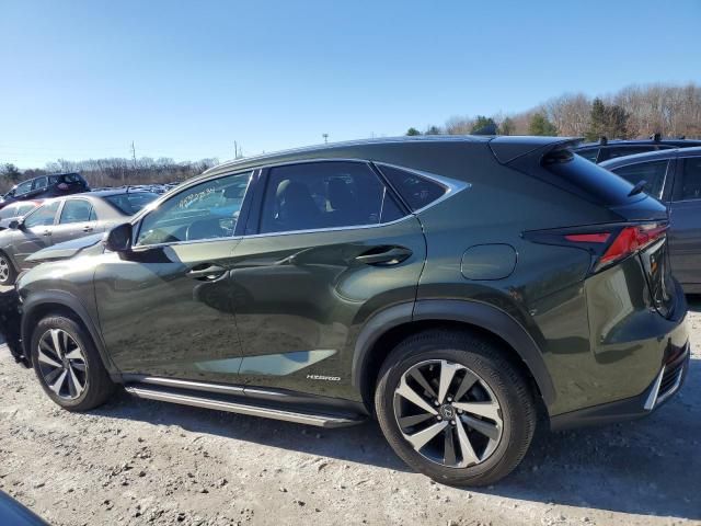 2021 Lexus NX 300H Base