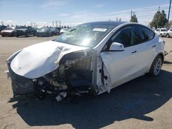 Salvage cars for sale from Copart Rancho Cucamonga, CA: 2023 Tesla Model Y