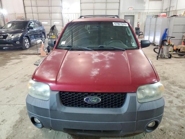 2007 Ford Escape XLT