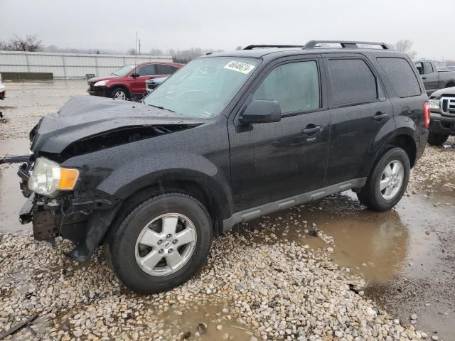 2009 Ford Escape XLT