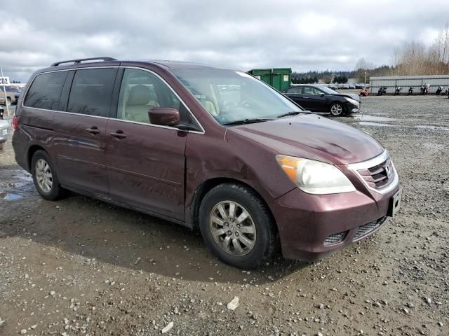 2008 Honda Odyssey EXL