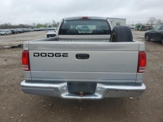 2000 Dodge Dakota Quattro