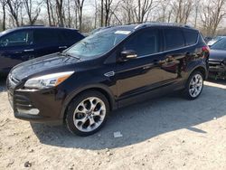 Salvage cars for sale from Copart Cicero, IN: 2013 Ford Escape Titanium