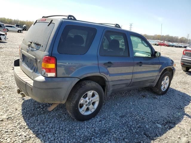 2006 Ford Escape XLT