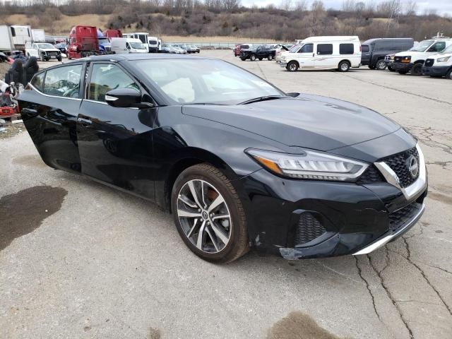 2023 Nissan Maxima SV