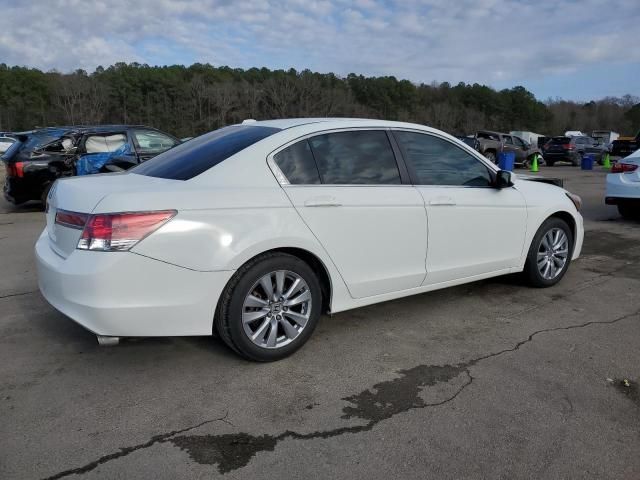 2011 Honda Accord EXL