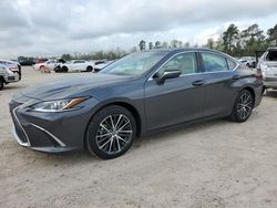 Salvage cars for sale at auction: 2024 Lexus ES 350 Base