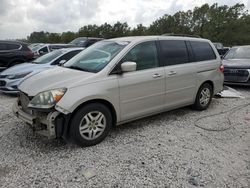 Salvage cars for sale from Copart Houston, TX: 2006 Honda Odyssey EXL