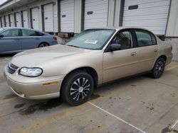 2003 Chevrolet Malibu for sale in Louisville, KY