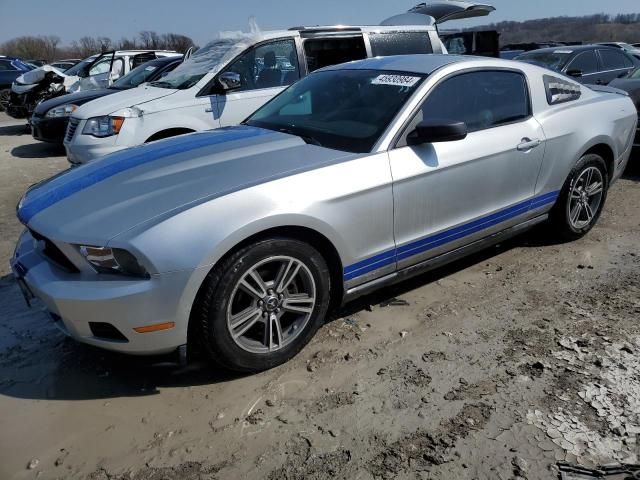 2010 Ford Mustang