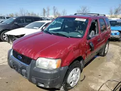 Salvage cars for sale at Bridgeton, MO auction: 2004 Ford Escape XLT