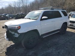 Salvage cars for sale at Marlboro, NY auction: 2019 Toyota 4runner SR5