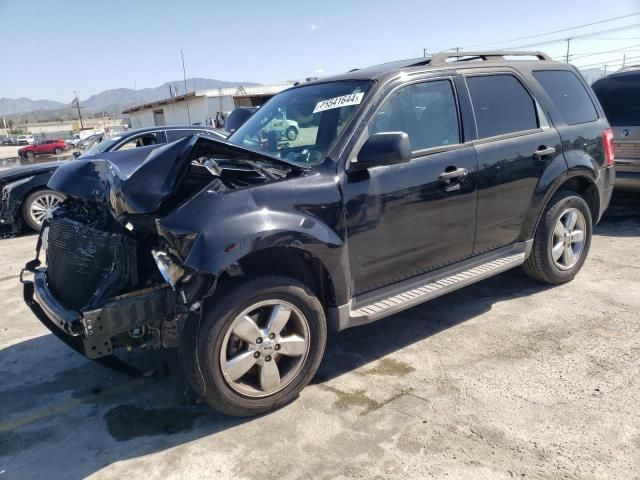 2012 Ford Escape XLT