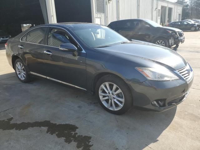 2010 Lexus ES 350