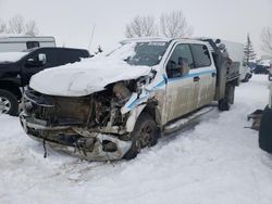 Salvage trucks for sale at Rocky View County, AB auction: 2021 Ford F250 Super Duty