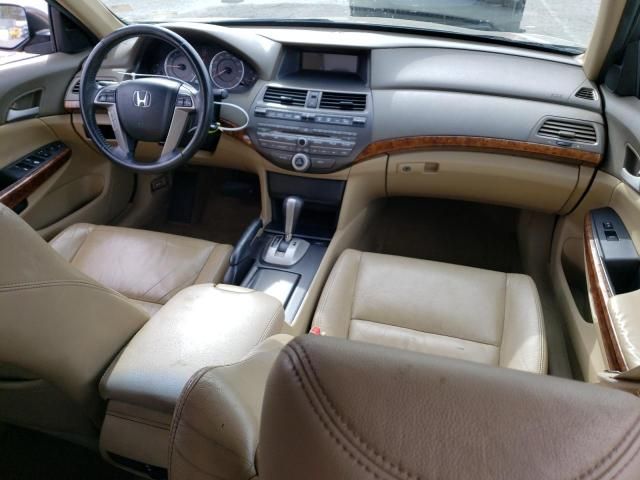 2010 Honda Accord EXL