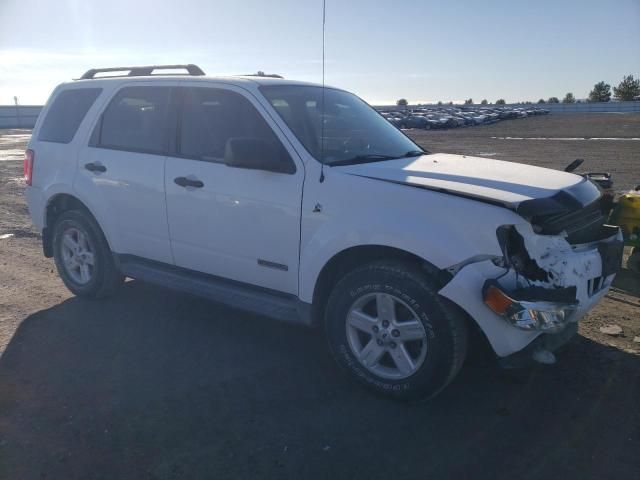 2008 Ford Escape HEV