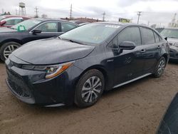 Salvage cars for sale from Copart Chicago Heights, IL: 2021 Toyota Corolla LE