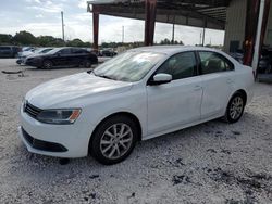 Salvage cars for sale at Homestead, FL auction: 2014 Volkswagen Jetta SE