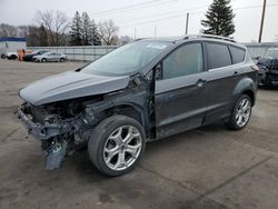 Salvage cars for sale at Ham Lake, MN auction: 2019 Ford Escape Titanium