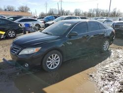 Salvage cars for sale from Copart Columbus, OH: 2011 Toyota Camry SE
