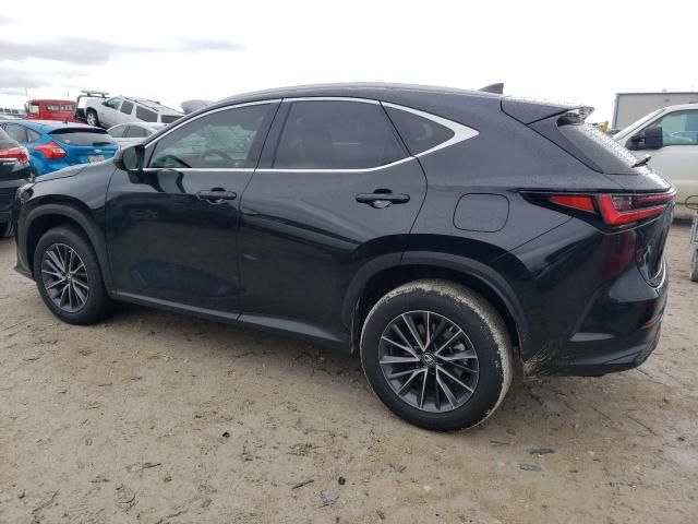 2022 Lexus NX 350