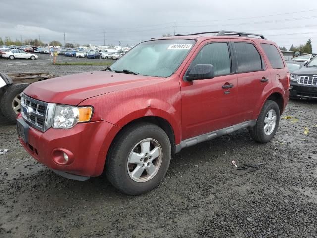 2009 Ford Escape XLT