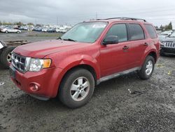 2009 Ford Escape XLT for sale in Eugene, OR