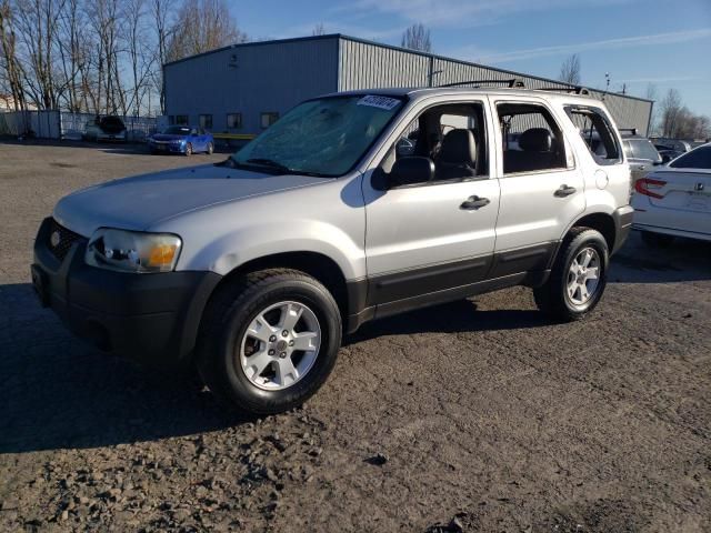 2005 Ford Escape XLT