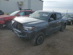 Salvage cars for sale from Copart Tucson, AZ: 2021 Toyota Tacoma Double Cab