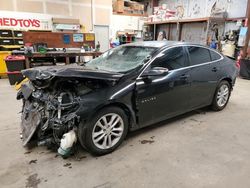 Salvage cars for sale from Copart Bakersfield, CA: 2017 Chevrolet Malibu LT