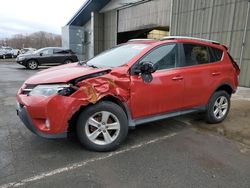 Toyota Rav4 salvage cars for sale: 2014 Toyota Rav4 XLE