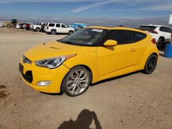 Salvage cars for sale from Copart Amarillo, TX: 2013 Hyundai Veloster