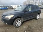 2009 Hyundai Santa FE SE