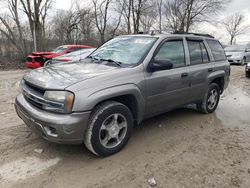 Salvage cars for sale at Cicero, IN auction: 2007 Chevrolet Trailblazer LS