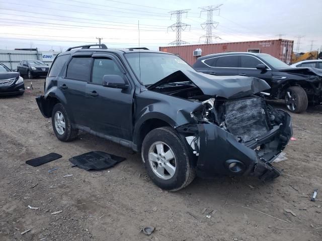 2009 Ford Escape XLT