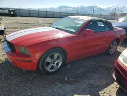 Ford Mustang salvage cars for sale: 2006 Ford Mustang