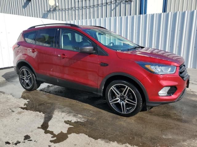 2019 Ford Escape SEL