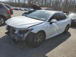 Salvage cars for sale at Glassboro, NJ auction: 2023 Toyota Camry SE Night Shade