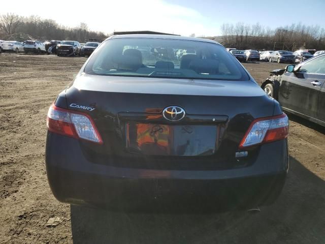 2009 Toyota Camry Hybrid