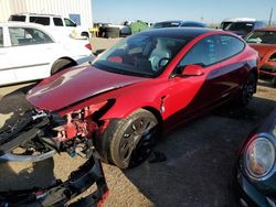 Salvage cars for sale from Copart Tucson, AZ: 2023 Tesla Model 3