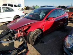 2023 Tesla Model 3 for sale in Tucson, AZ