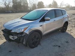 Salvage cars for sale at Madisonville, TN auction: 2014 Ford Escape SE