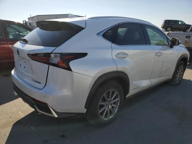 2019 Lexus NX 300H