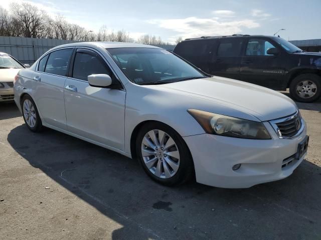 2010 Honda Accord EXL