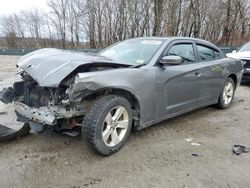 Salvage cars for sale at Candia, NH auction: 2011 Dodge Charger