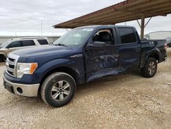 2014 Ford F150 Supercrew for sale in Temple, TX